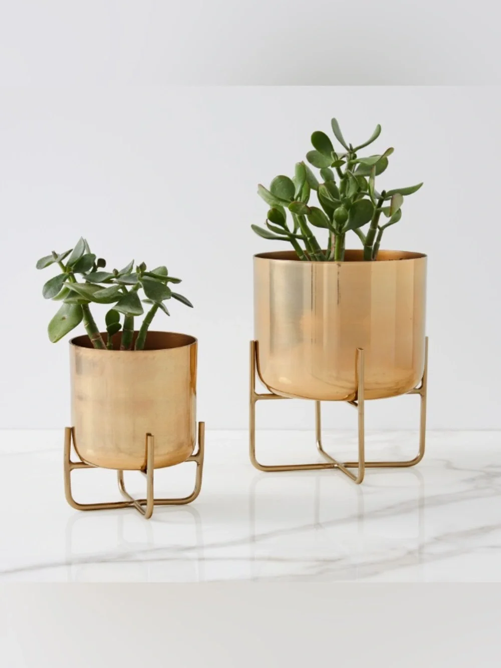 West Elm Spun Metal Tabletop Planter in Brass Gold